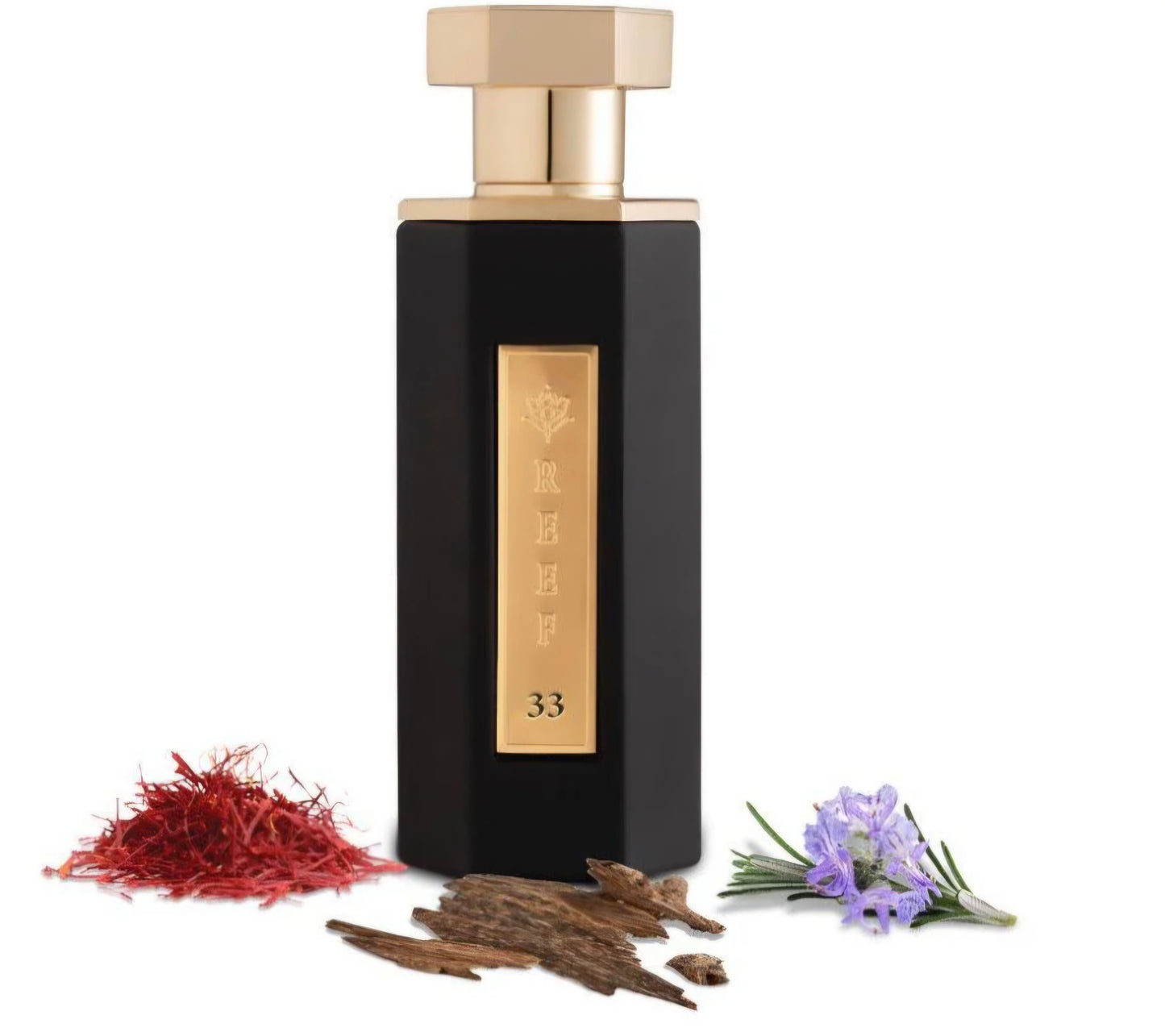 REEF 33 EDP Klassisches Parfüm, 100 ml