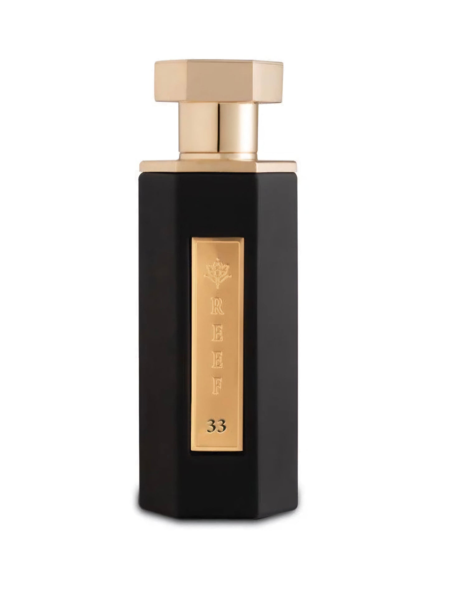 REEF 33 EDP Klassisches Parfüm, 100 ml